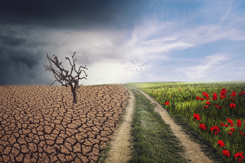 Climate Change and Pollution