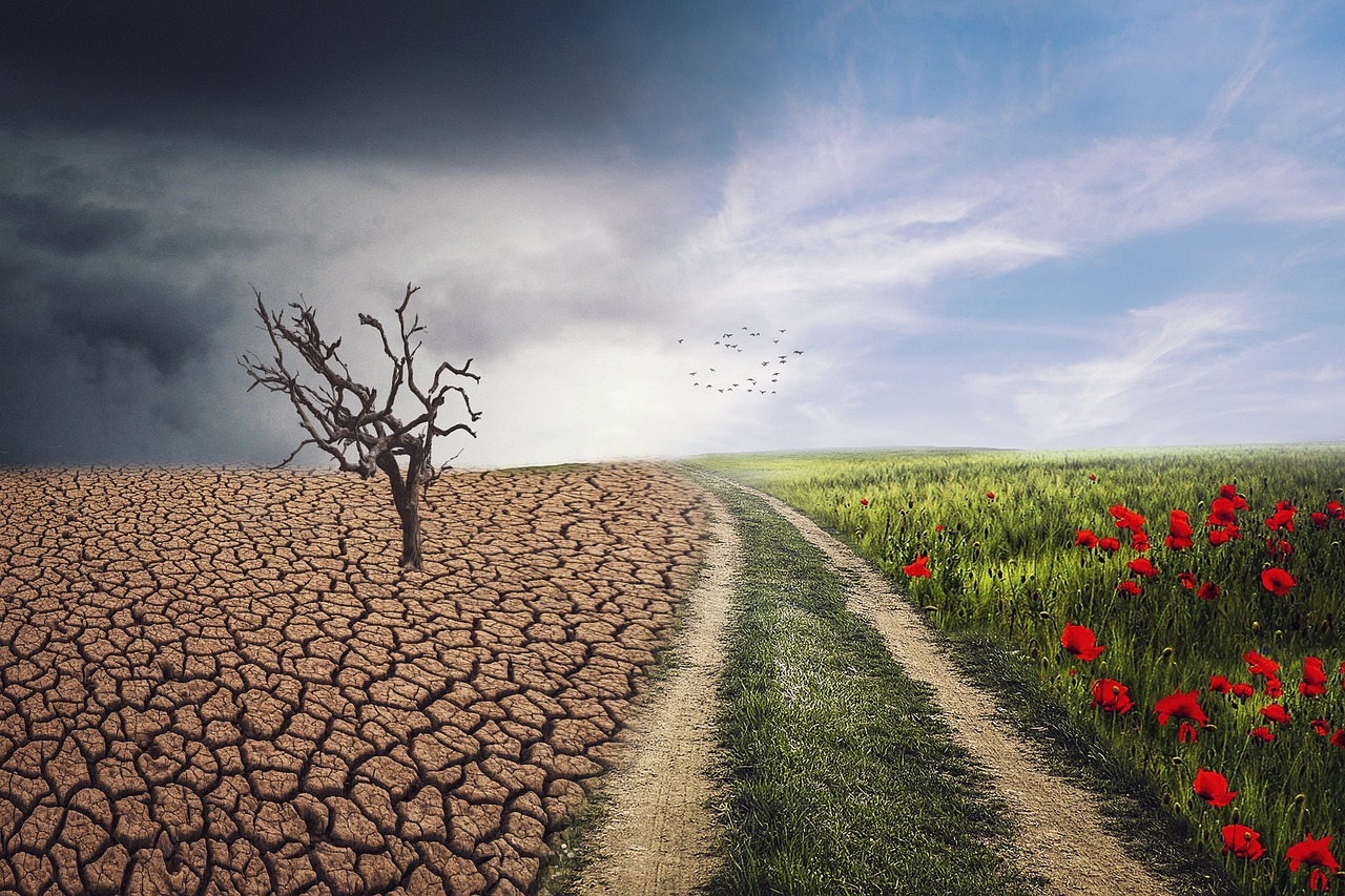 Climate Change and Pollution