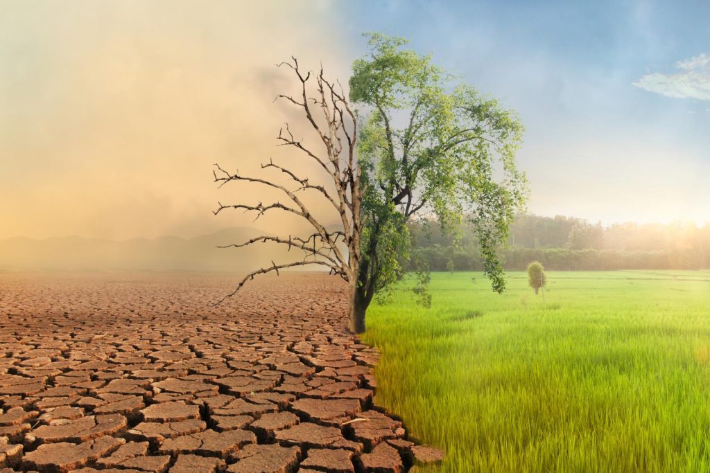 Climate change