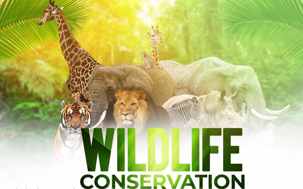 Wildlife Conservation