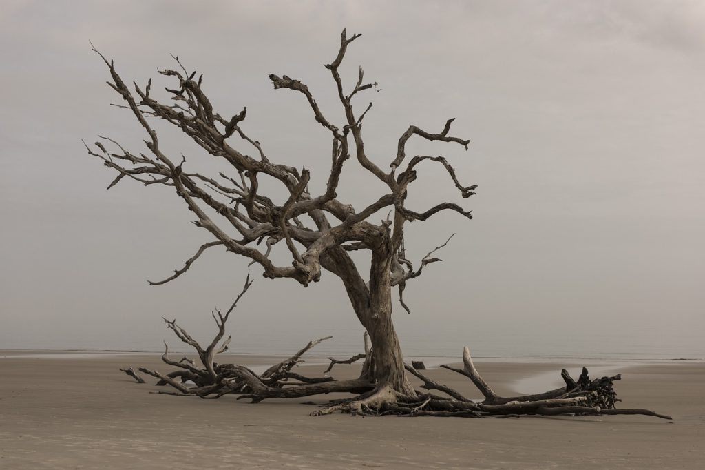 Earth drying up