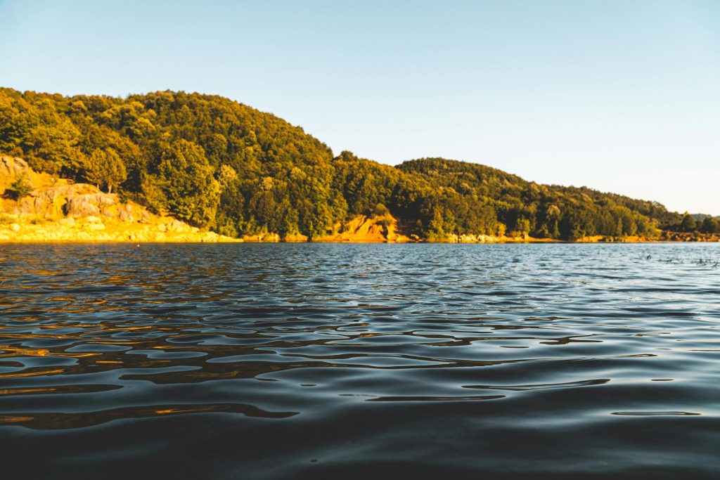 freshwater wildlife and ecosystems