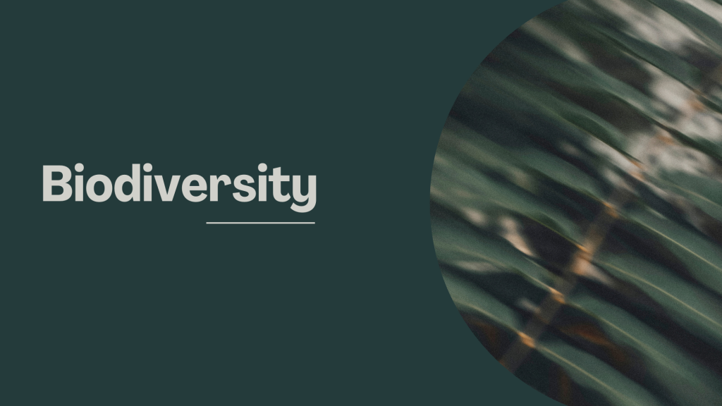 Biodiversity matters