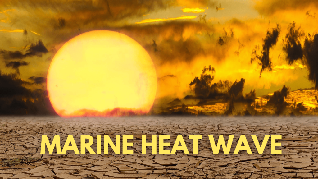 Marine Heat Wave