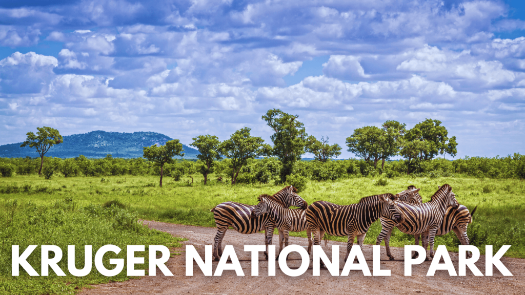 Kruger National Park