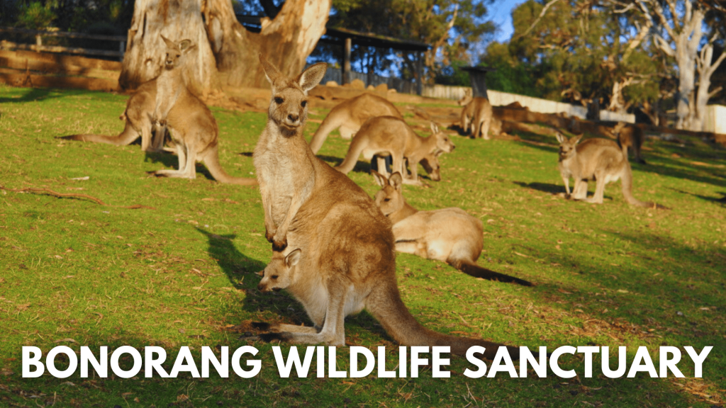 Bonorang Wildlife Sanctuary