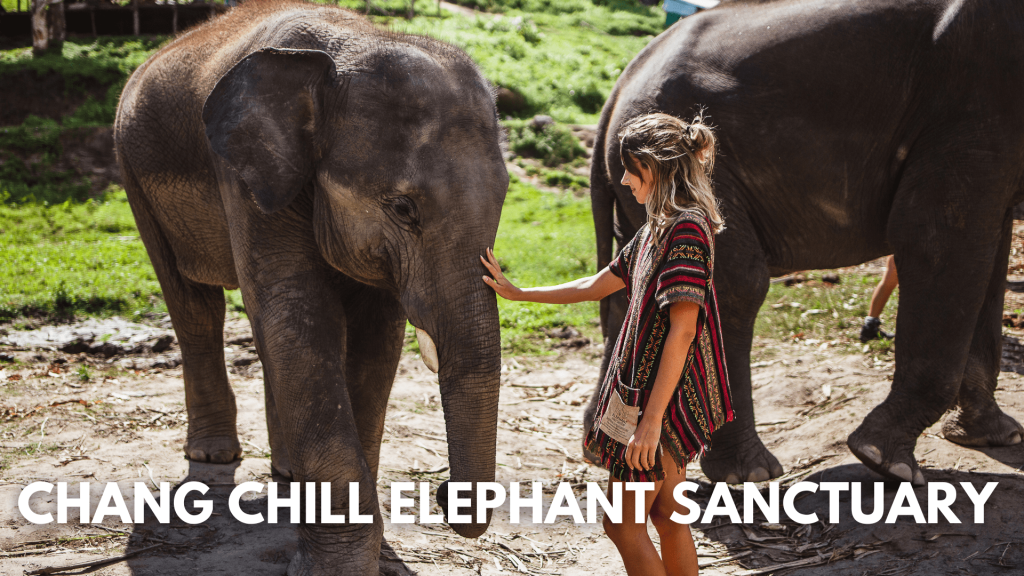 Chang Chill elephant sanctuary, Thailand